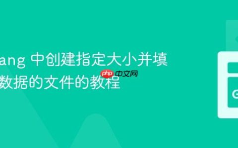 在 Golang 中创建指定大小并填充特定数据的文件的教程