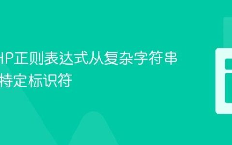 使用PHP正则表达式从复杂字符串中提取特定标识符