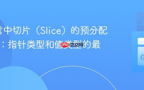 Go语言中切片（Slice）的预分配与填充：指针类型和值类型的最佳实践