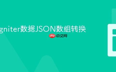 CodeIgniter数据JSON数组转换指南