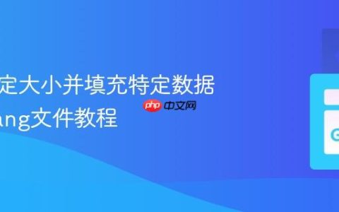 创建指定大小并填充特定数据的Golang文件教程