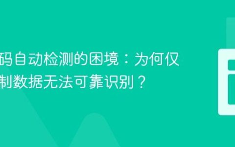 字符编码自动检测的困境：为何仅凭二进制数据无法可靠识别？
