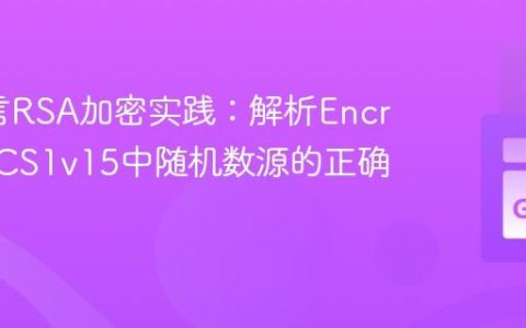 Go语言RSA加密实践：解析EncryptPKCS1v15中随机数源的正确使用