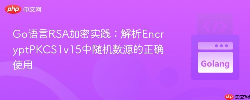 Go语言RSA加密实践:解析EncryptPKCS1v15中随机数源的正确使用