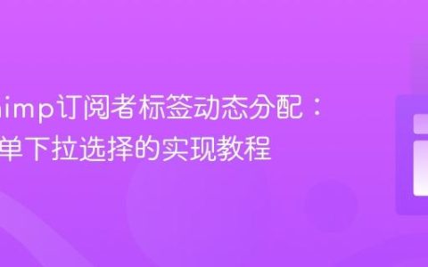 Mailchimp订阅者标签动态分配：基于表单下拉选择的实现教程