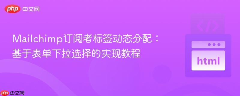 Mailchimp订阅者标签动态分配:基于表单下拉选择的实现教程