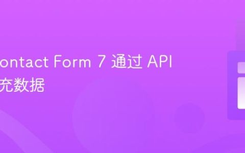 使用 Contact Form 7 通过 API 响应填充数据