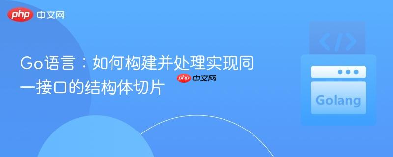 Go语言:如何构建并处理实现同一接口的结构体切片