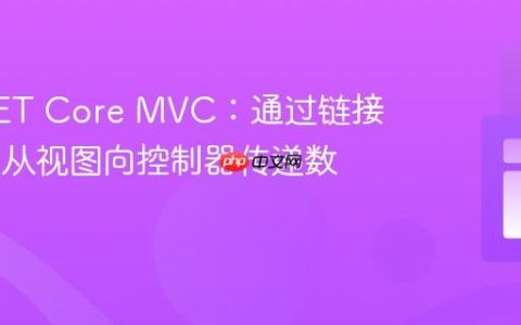 ASP.NET Core MVC：通过链接 (href) 从视图向控制器传递数据