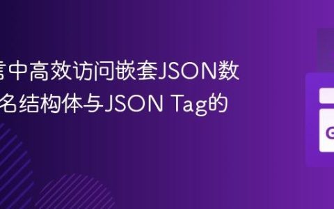 Go语言中高效访问嵌套JSON数据：匿名结构体与JSON Tag的实践