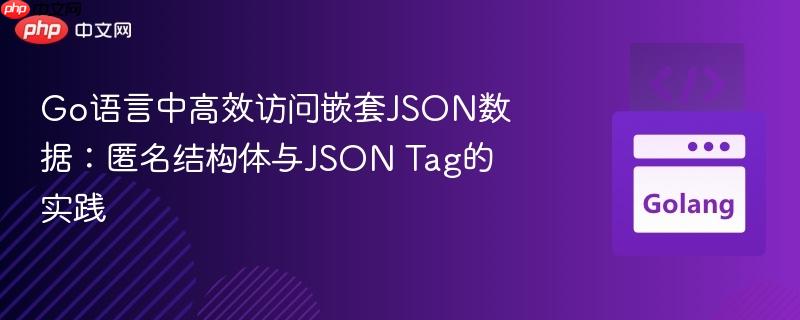 Go语言中高效访问嵌套JSON数据:匿名结构体与JSON Tag的实践
