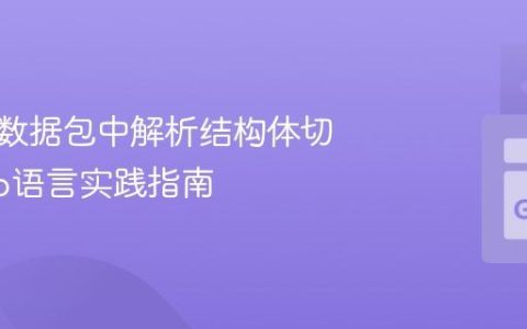 从网络数据包中解析结构体切片：Go语言实践指南