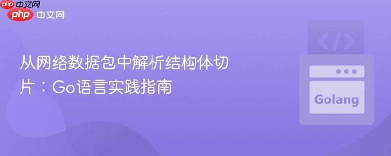 从网络数据包中解析结构体切片:go语言实践指南