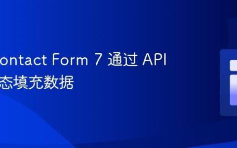使用 Contact Form 7 通过 API 响应动态填充数据