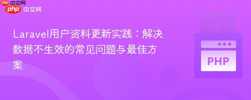 Laravel用户资料更新实践:解决数据不生效的常见问题与最佳方案