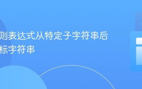 使用正则表达式从特定子字符串后提取目标字符串