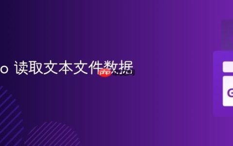 使用 Go 读取文本文件数据