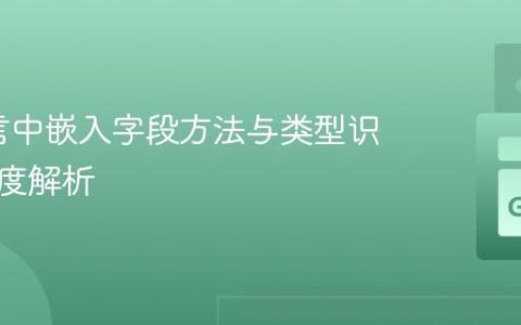 Go语言中嵌入字段方法与类型识别的深度解析