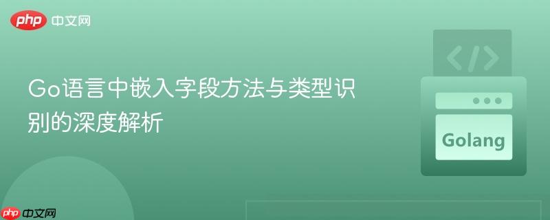 Go语言中嵌入字段方法与类型识别的深度解析