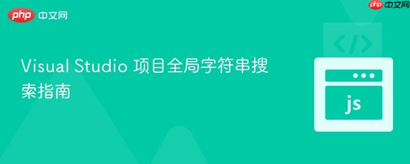 Visual Studio 项目全局字符串搜索指南