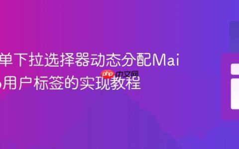 基于表单下拉选择器动态分配Mailchimp用户标签的实现教程