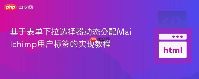 基于表单下拉选择器动态分配Mailchimp用户标签的实现教程