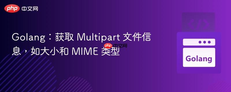 golang:获取 multipart 文件信息,如大小和 mime 类型