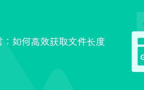 Go语言：如何高效获取文件长度