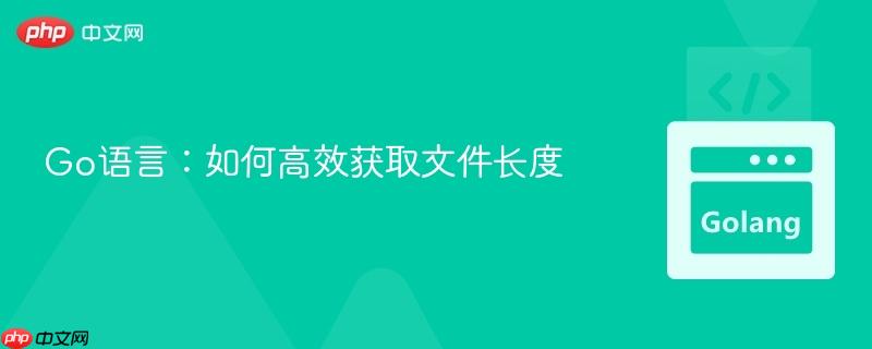 Go语言:如何高效获取文件长度