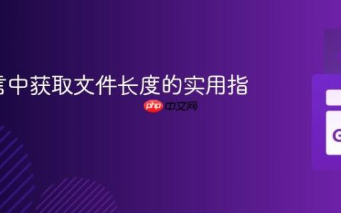 Go语言中获取文件长度的实用指南