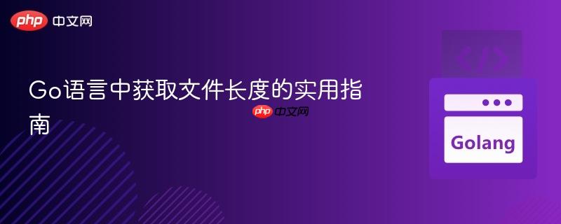 Go语言中获取文件长度的实用指南