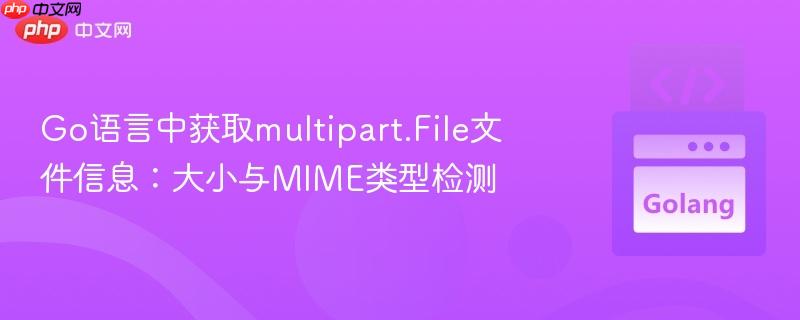 Go语言中获取multipart.File文件信息:大小与MIME类型检测