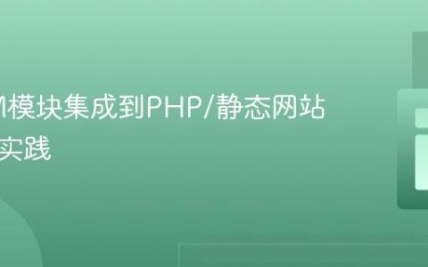 将NPM模块集成到PHP/静态网站的现代实践