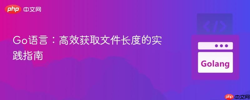 Go语言:高效获取文件长度的实践指南