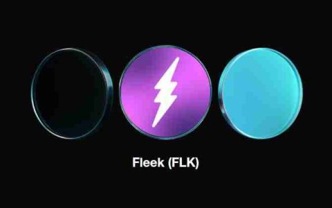 Fleek(FLK)币是什么？值得投资吗？Fleek工作原理、代币经济学及未来展望