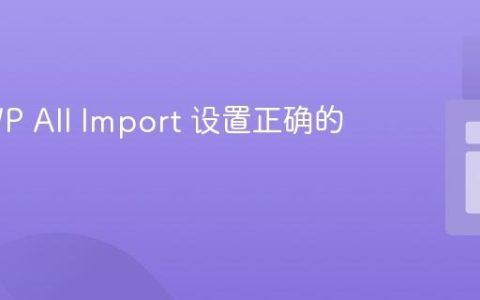 使用 WP All Import 设置正确的 URL