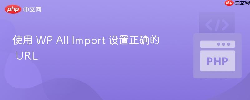 使用 wp all import 设置正确的 url