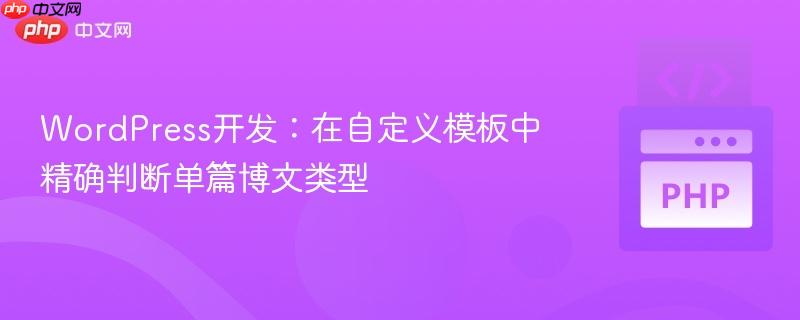 WordPress开发:在自定义模板中精确判断单篇博文类型