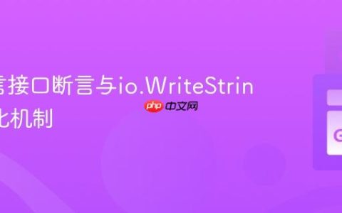 Go语言接口断言与io.WriteString的优化机制