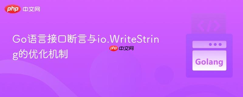 Go语言接口断言与io.WriteString的优化机制