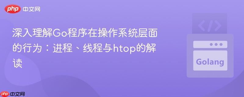 深入理解Go程序在操作系统层面的行为:进程、线程与htop的解读