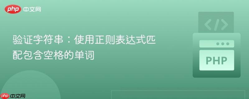 验证字符串:使用正则表达式匹配包含空格的单词