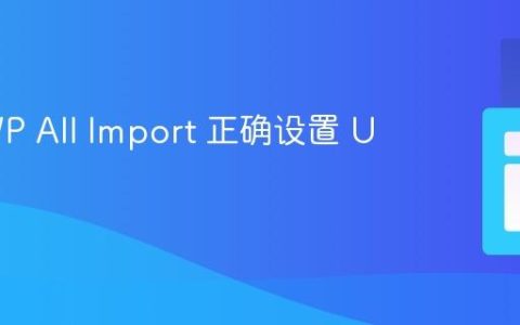 使用 WP All Import 正确设置 URL