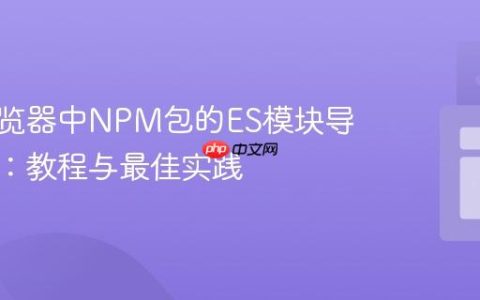 解决浏览器中NPM包的ES模块导入错误：教程与最佳实践