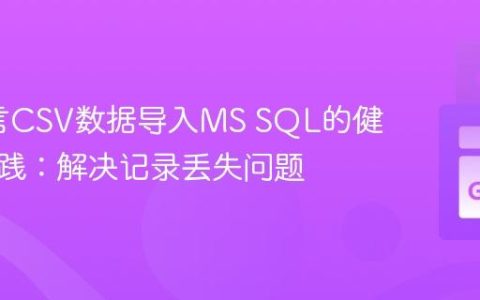 Go语言CSV数据导入MS SQL的健壮性实践：解决记录丢失问题