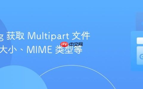 Golang 获取 Multipart 文件信息：大小、MIME 类型等