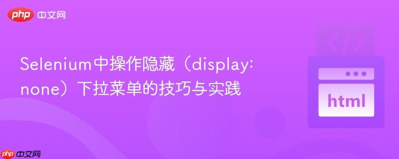 selenium中操作隐藏(display: none)下拉菜单的技巧与实践