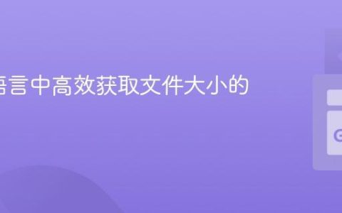 在Go语言中高效获取文件大小的方法
