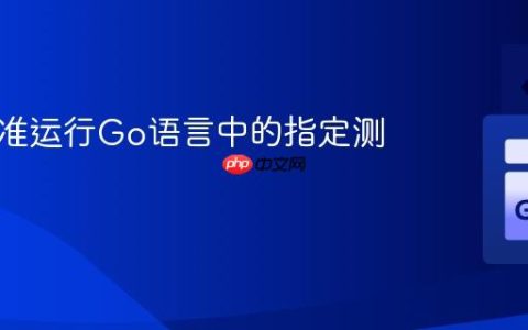 如何精准运行Go语言中的指定测试用例
