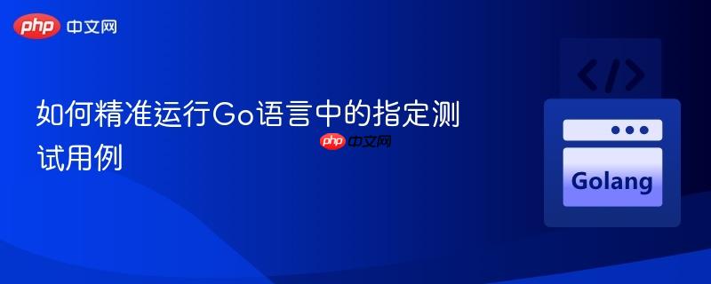 如何精准运行Go语言中的指定测试用例